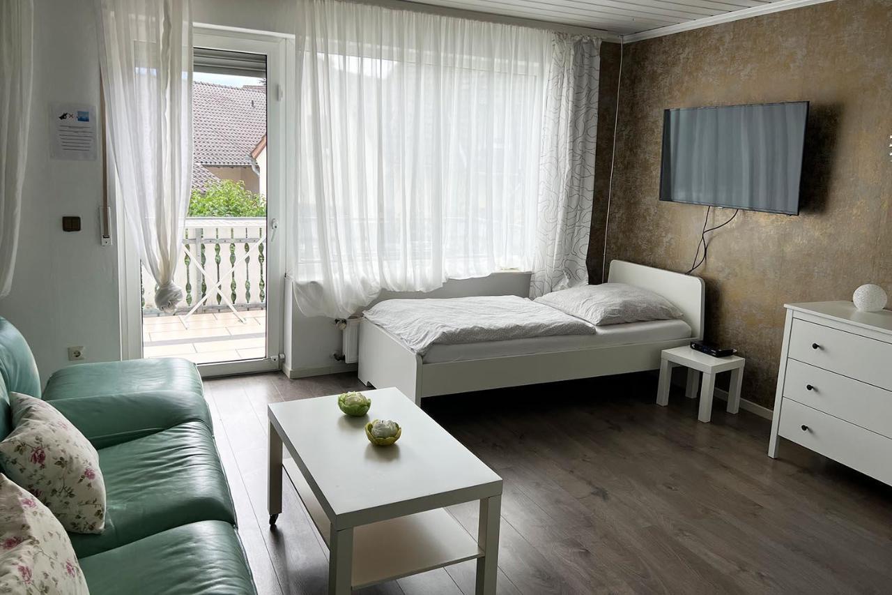 Cozy Worker Apartments נידרקאסל מראה חיצוני תמונה
